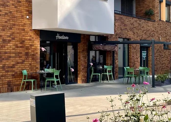 Apartman Historical Beer - Stein