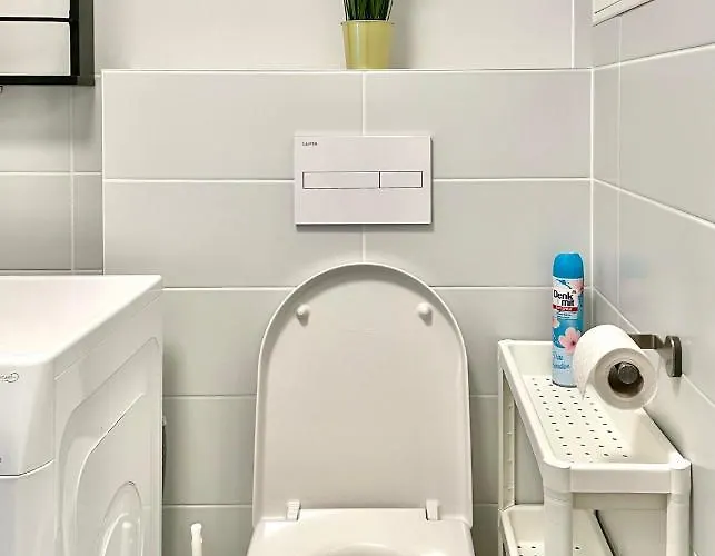 Historical Beer - Stein *