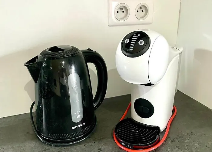 Historical Beer - Stein